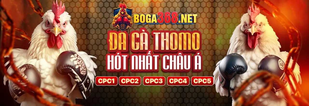 Điều khoản Dịch vụ ggg88 hiện đang mở