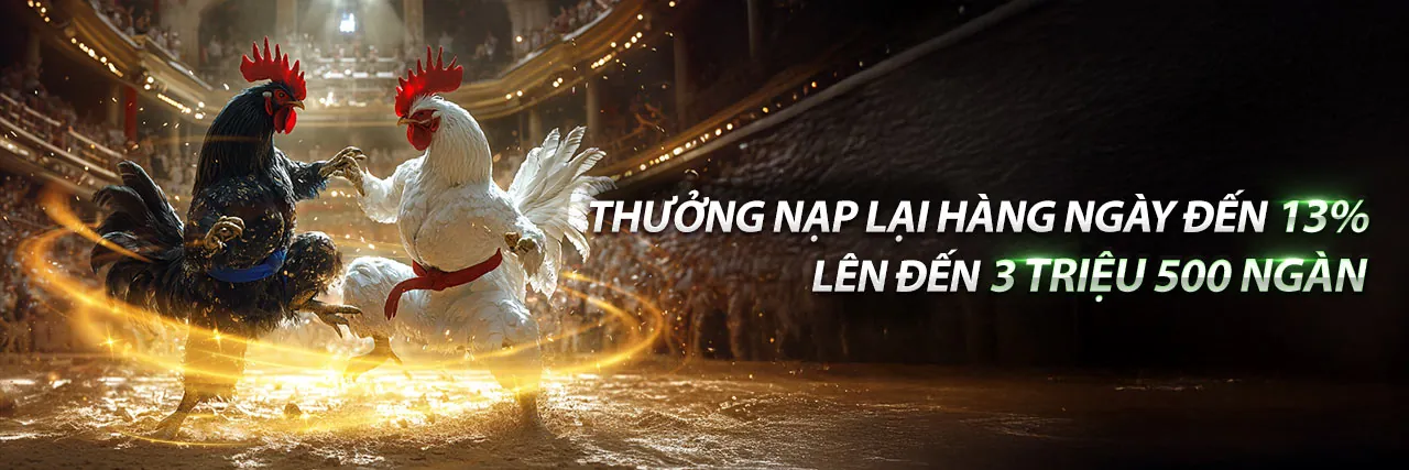 Đá Gà Trực Tuyến ggg88 Hiện Đang Mở